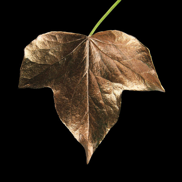 GILD BRONZE PAINT, metallic, acrylic gilding enamel by Guild Lane