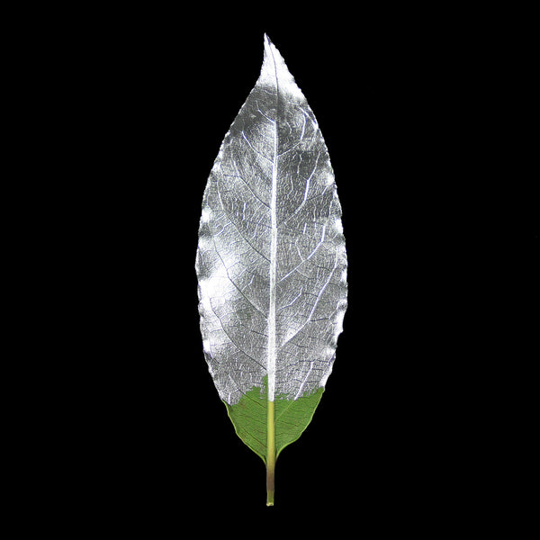 GILD Silver metallic acrylic gilding enamel by Guild Lane. Emulates polished metal but without the fuss. Available from Shel's Shabby Chic.