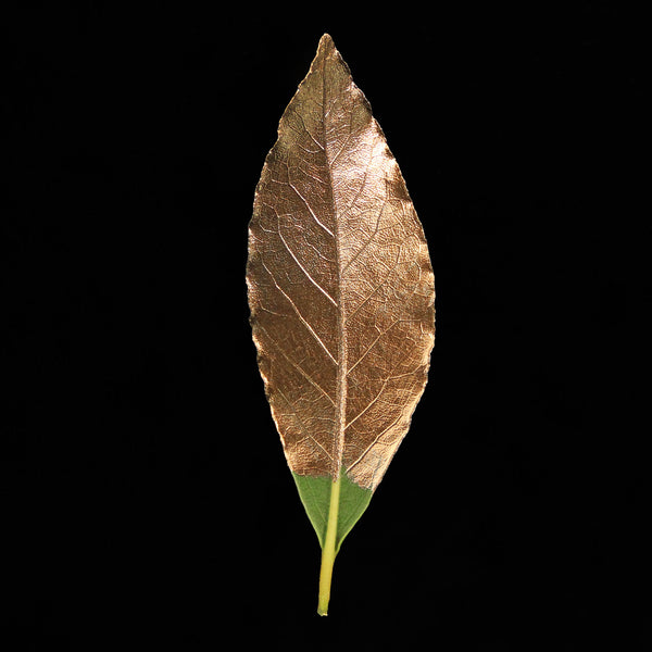 Decorative leaf painted with Guild Lane GILD Originals Bronze multi-surface metallic enamel paint.