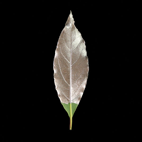 Decorative leaf painted with Guild Lane GILD Originals Champagne multi-surface metallic enamel paint.