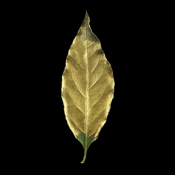 Guild Lane Super GILD Gold creating a rich reflective metallic finish inspired by traditional gold leaf.