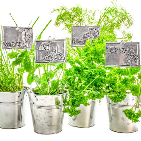 Personalised aluminium plant and garden labels created using a beginner-friendly metal embossing kit.