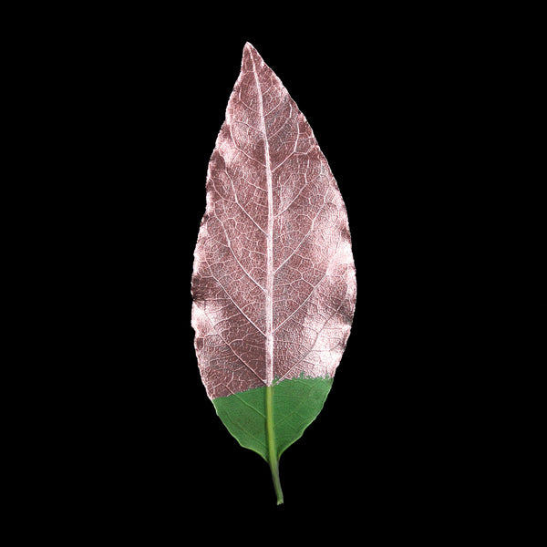 Decorative leaf painted with Guild Lane GILD Originals Rose Gold multi-surface metallic enamel paint.